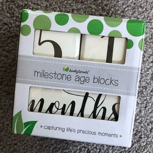 LovelySprouts Solid Wood Milestone Age Blocks